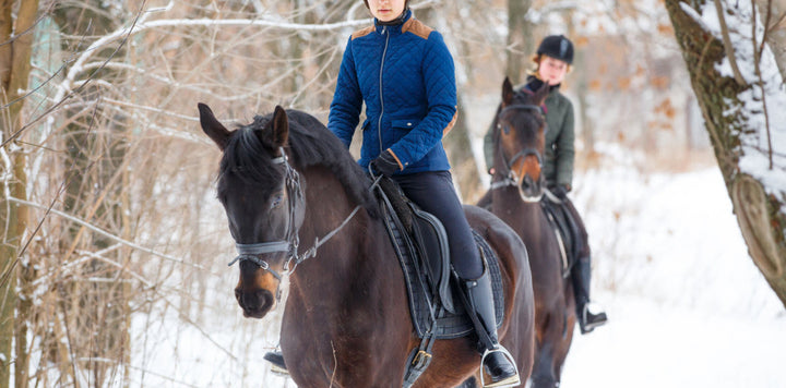 🐴 Riding Through the Elements: How to Choose Cold-Weather Riding Gear That Works