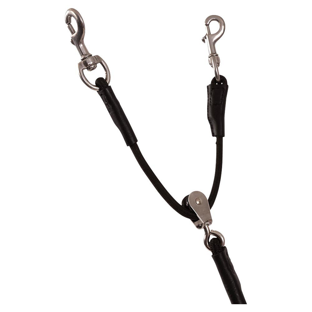 Trust training reins Tyron