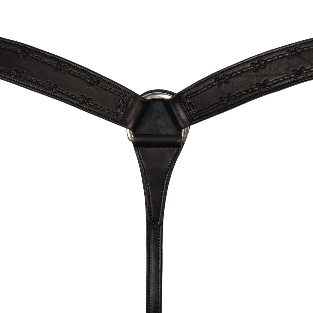 Collier de poitrine en fil de fer barbelé pour piscine PE00158