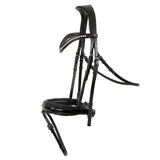 Trust Basel bridle